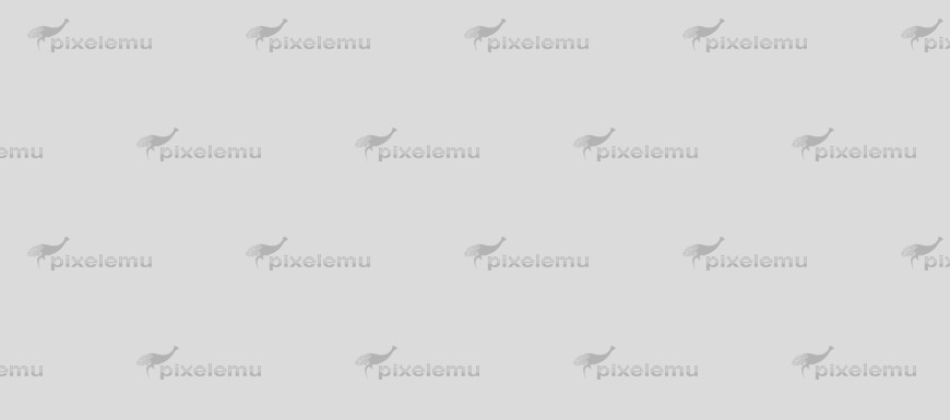 Etiam magna text
